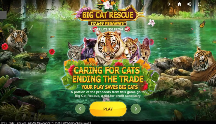 Understanding the Megaways Mechanic in Big Cat Rescue Megaways