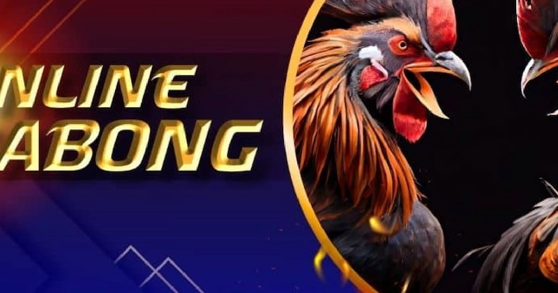 Introduction to online cockfighting