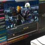 Instructions for participating in cockfighting at SPINPLUS