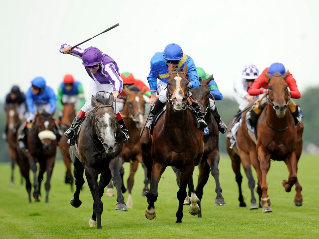 Horse racing betting – a fast, international-class playground
