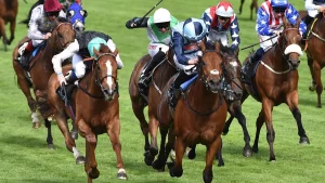 Horse Racing Betting Tips – Increase Your Win Rate