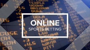 Explore the top online sports betting playground
